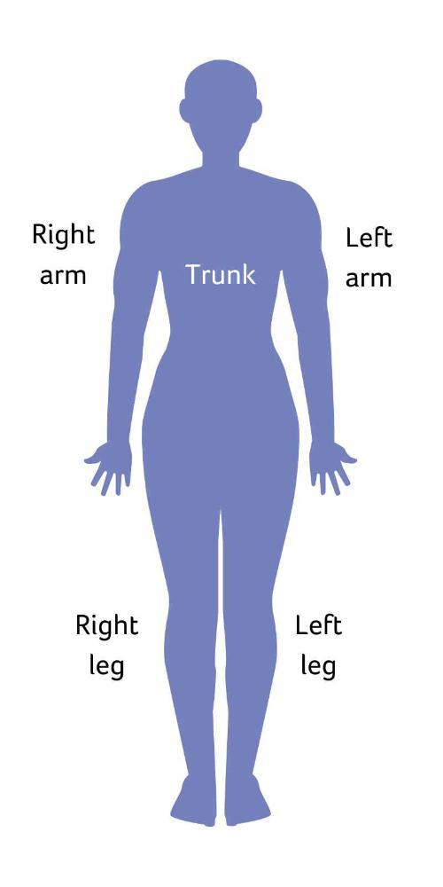 Body composition analysis
